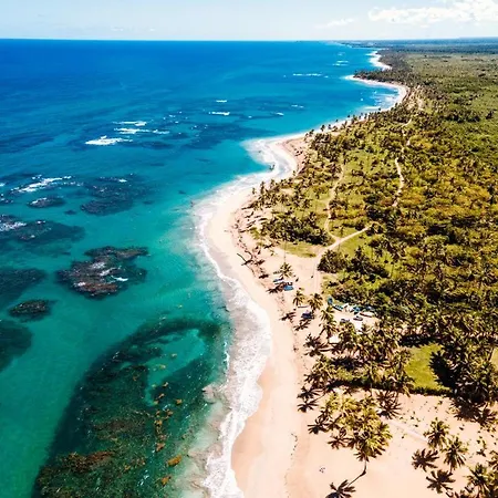 Puntacana Ecolodge Lavacama Beach Costa Arrecife By Aa Crypto Group